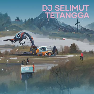 Dj Selimut Tetangga's cover