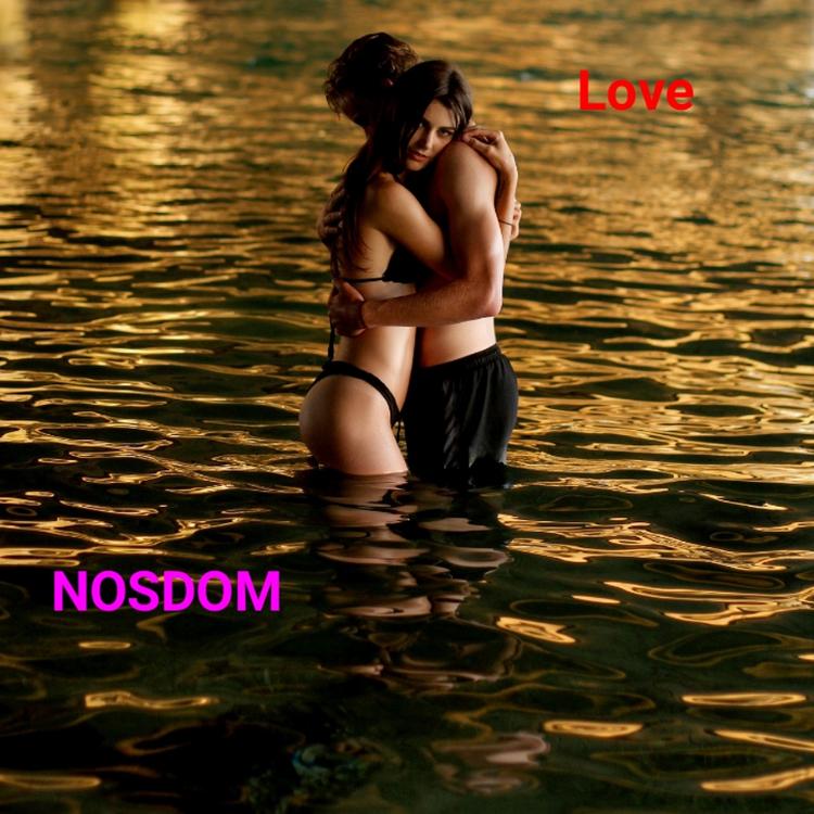 NOSDOM's avatar image