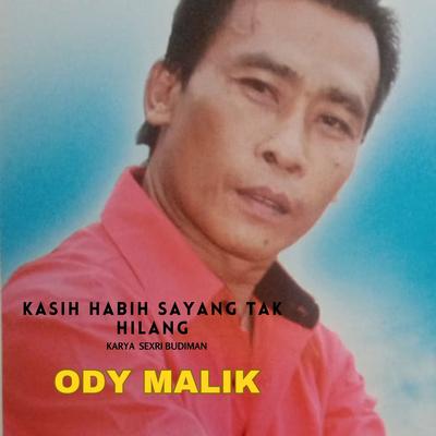 Kasih Habih Sayang Tak Hilang's cover