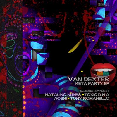 Supernova (Natalino Nunes Remix) By Van Dexter's cover