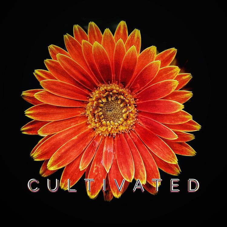 Cultivated's avatar image
