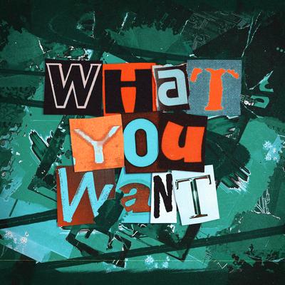 What You Want By Tom & Jame's cover