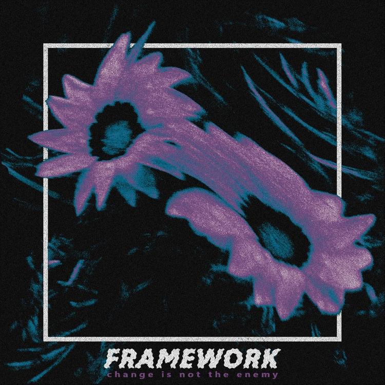 Framework's avatar image