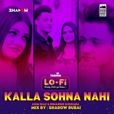 Kalla Sohna Nahi (Lo Fi)'s cover