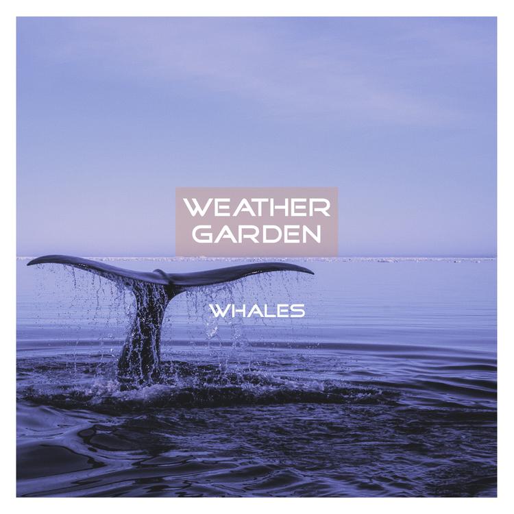 Weather Garden's avatar image