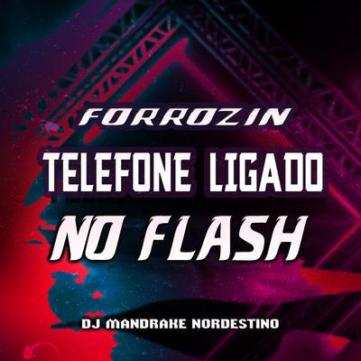 Forrozin Telefone Ligado no Flash By Dj Mandrake Nordestino's cover