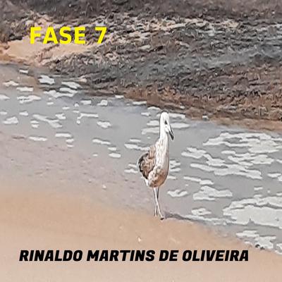 Rinaldo Martins de Oliveira's cover