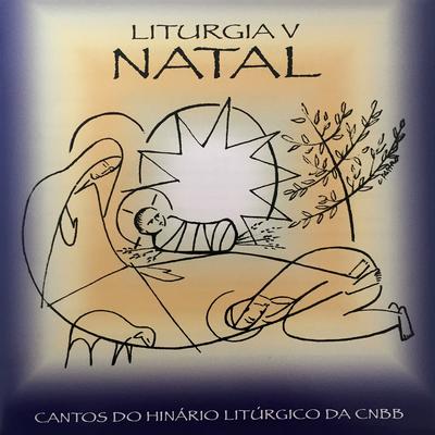 Liturgia V's cover