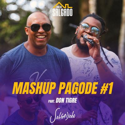 Mashup Pagode #1 (feat. Don Tigre) By Salgadinho, Don Tigre's cover