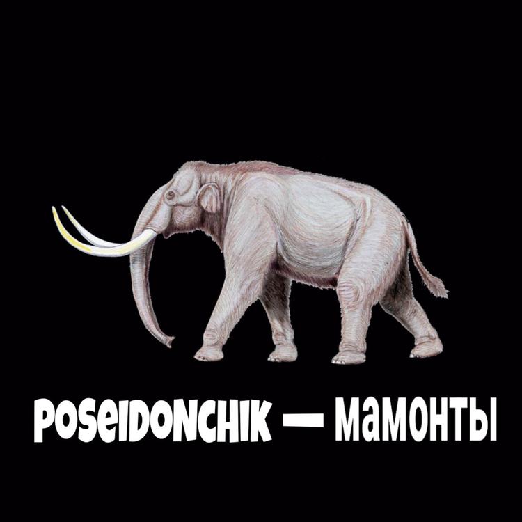 PoSeIDoNcHik's avatar image