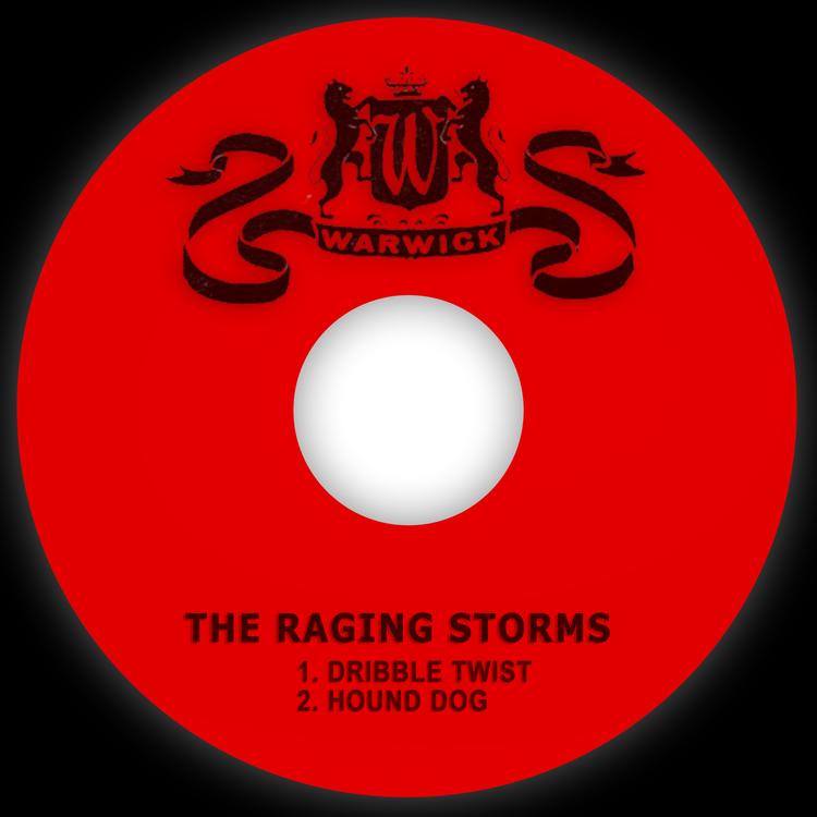The Raging Storms's avatar image