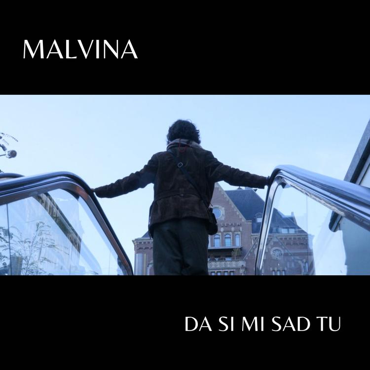 Malvina's avatar image