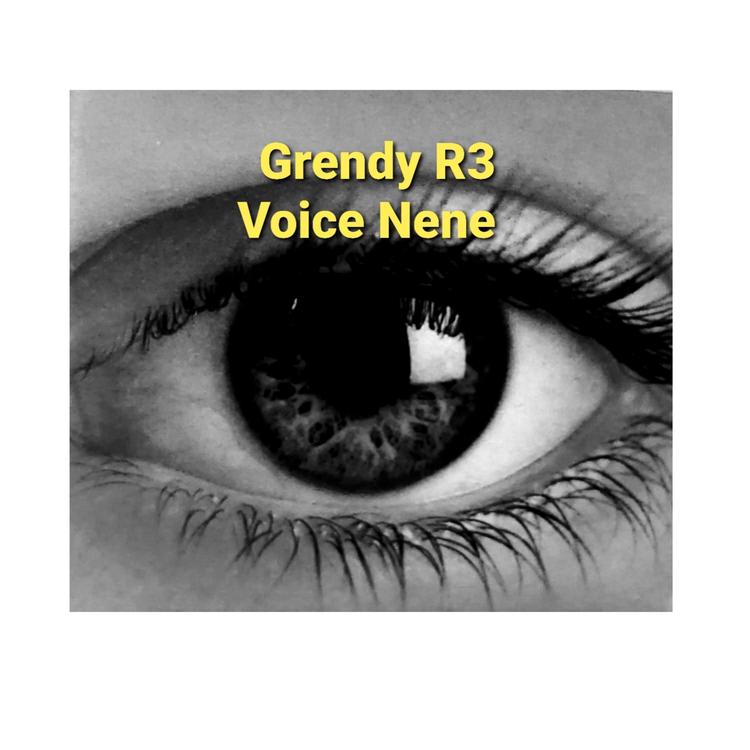 Grendy R3's avatar image