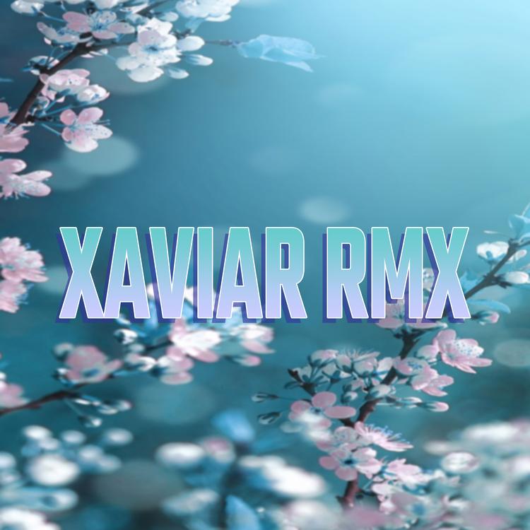 Xaviar Rmx's avatar image