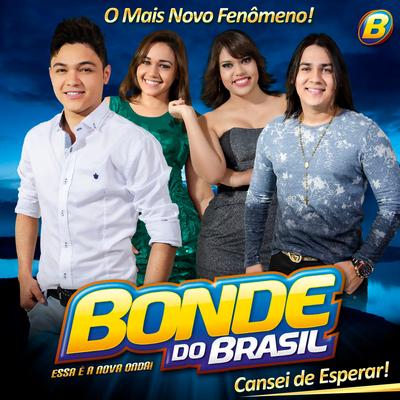 Gelinho na Boca By Bonde do Brasil's cover