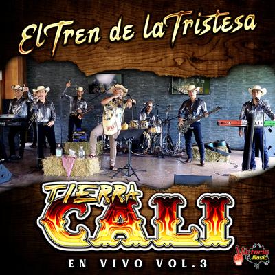 El Tren De La Tristesa's cover