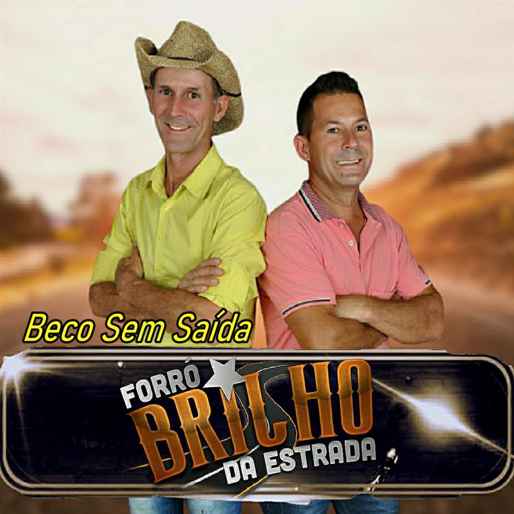 Forró Brilho Da Estrada's avatar image