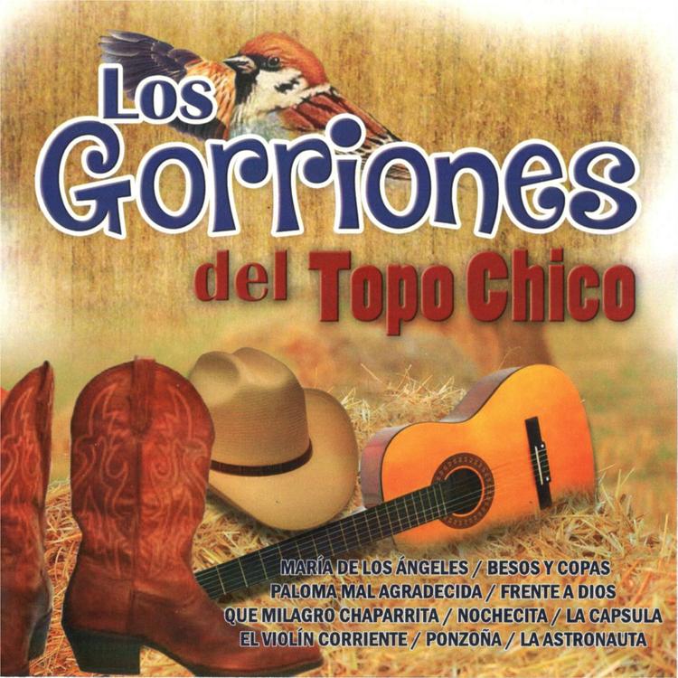 Los Gorriones De Topo Chico's avatar image