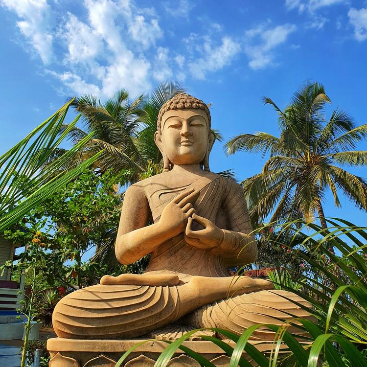 Buddha Music's avatar image