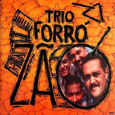 Espuma aos Vento (Ao Vivo) By Trio Forrozão's cover