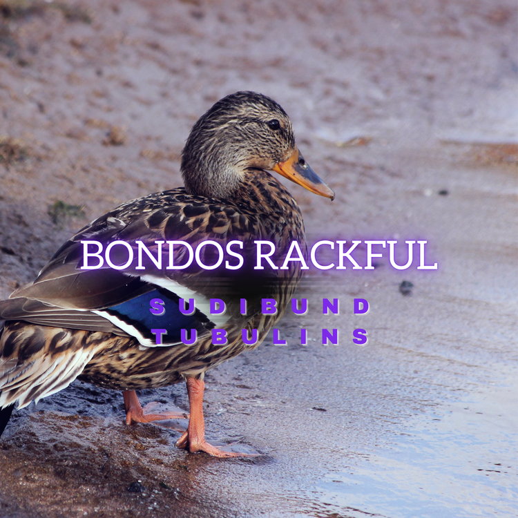 Bondos Rackful's avatar image