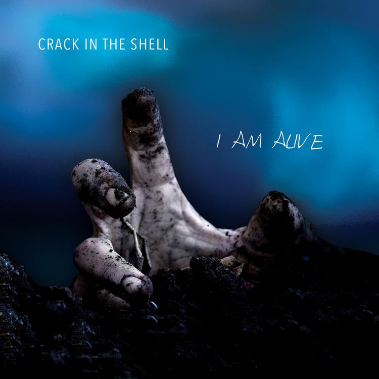 Crack in the Shell's avatar image