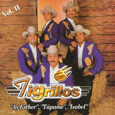 Los Tigrillos Vol. II's cover