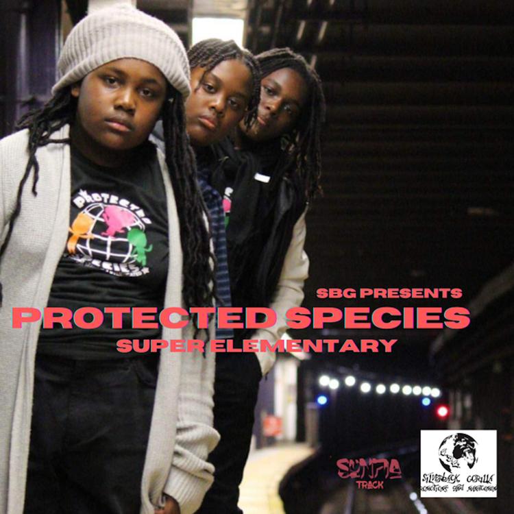 Protected Species's avatar image