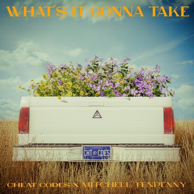 What's It Gonna Take's cover