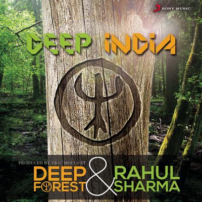 Deep India's cover