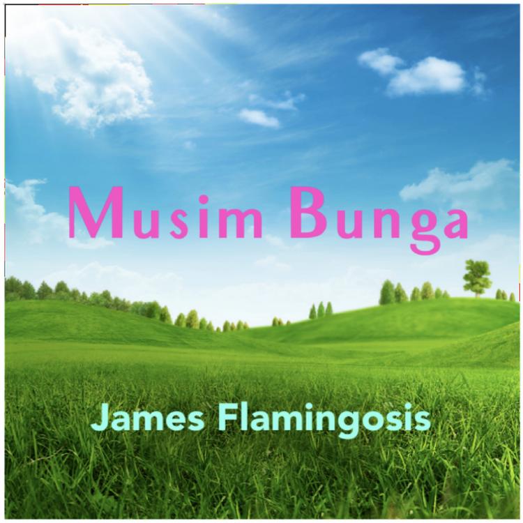James Flamingosis's avatar image