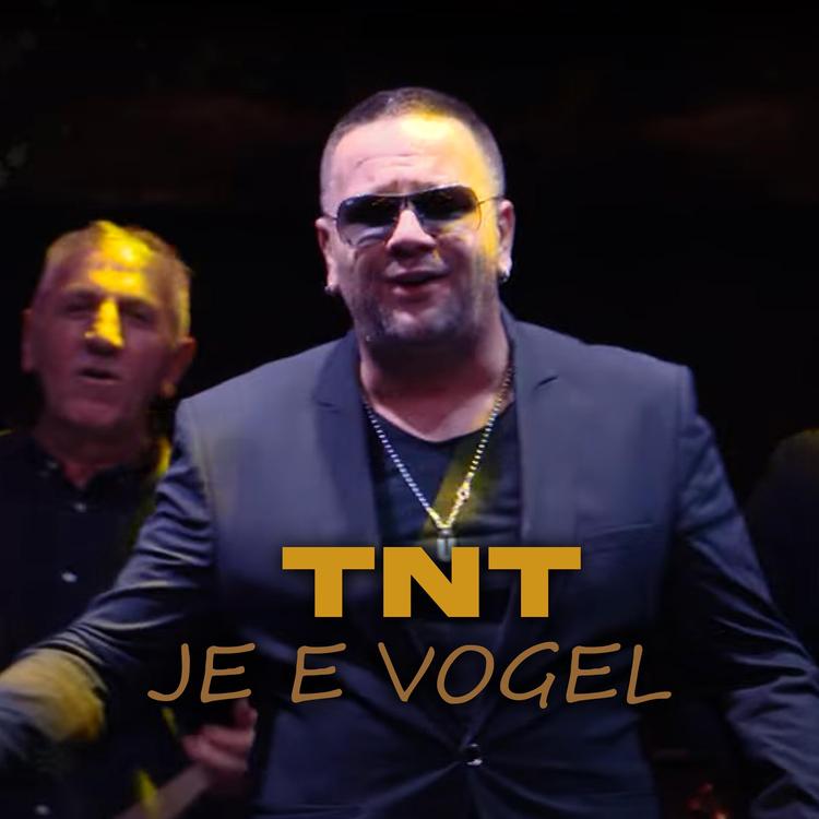 TNT's avatar image