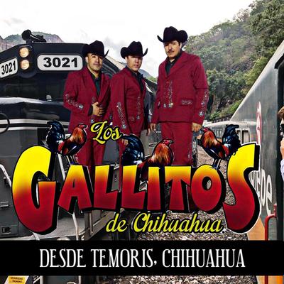 Desde Temoris, Chihuahua's cover