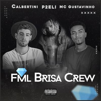 FML BRISA CREW By Calbertini, P2eli, MC Gustavinho, Brisa Crew's cover