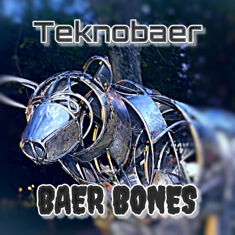 teknobaer's avatar image
