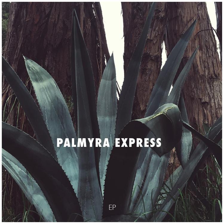 Palmyra Express's avatar image