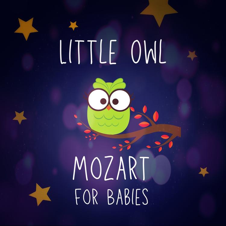 Little Owl's avatar image
