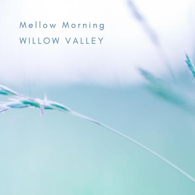 Mellow Morning By Willow Valley's cover