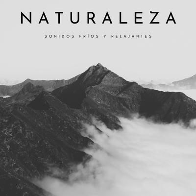 Naturaleza: Sonidos Fríos y Relajantes's cover