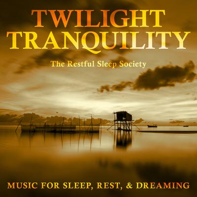 Tracing Constellations By The Restful Sleep Society's cover