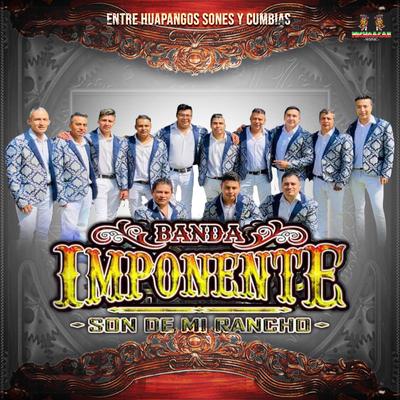 Banda Imponente Son De Mi Rancho's cover