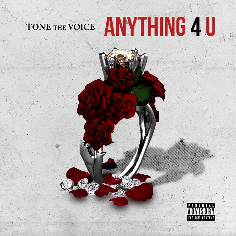 Tone The Voice's avatar image