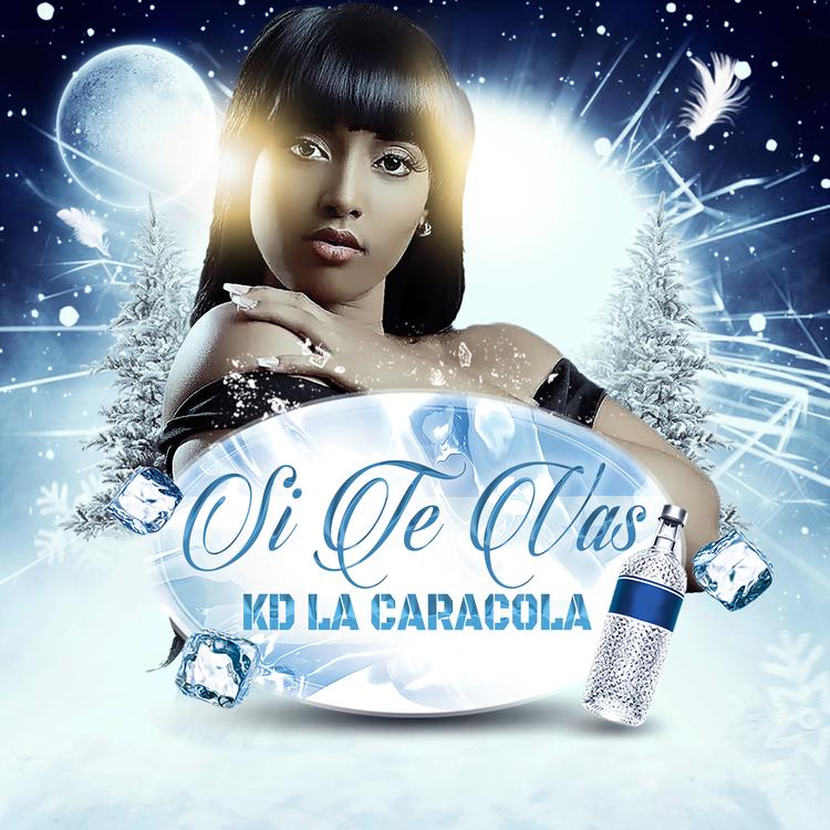 KD La Caracola's avatar image