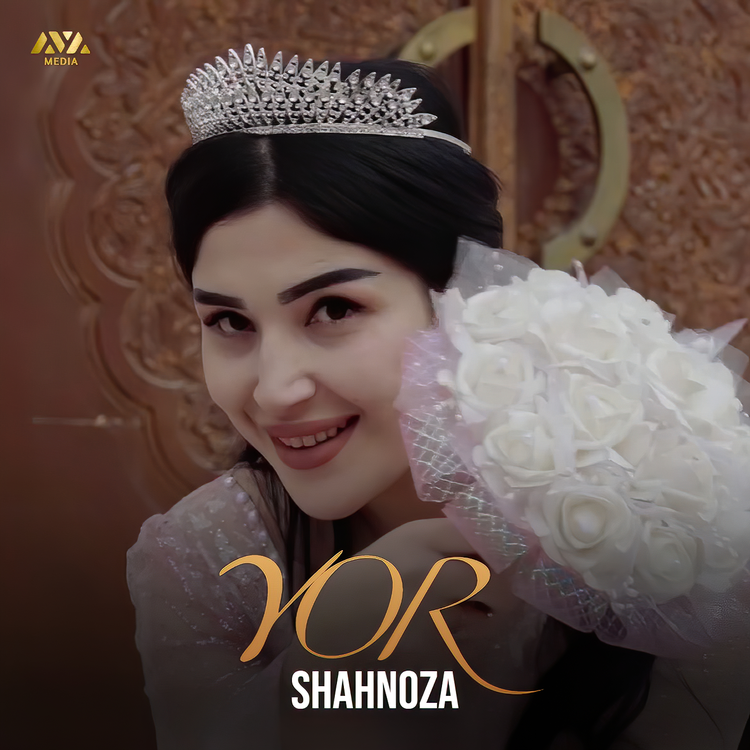 SHAHNOZA's avatar image