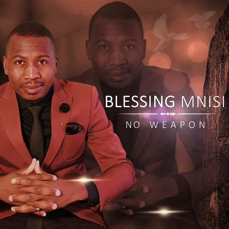 Blessing Mnisi's avatar image