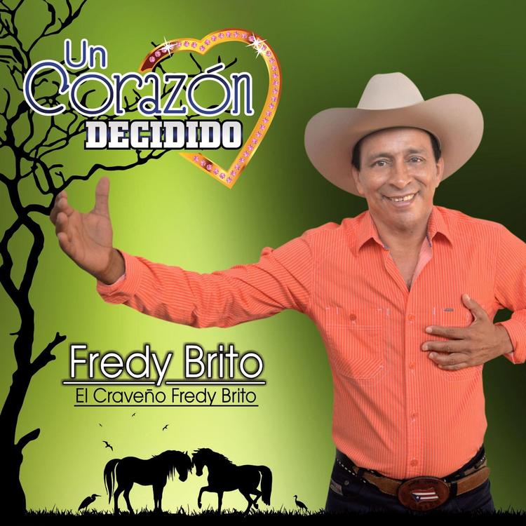 Freddy Brito's avatar image