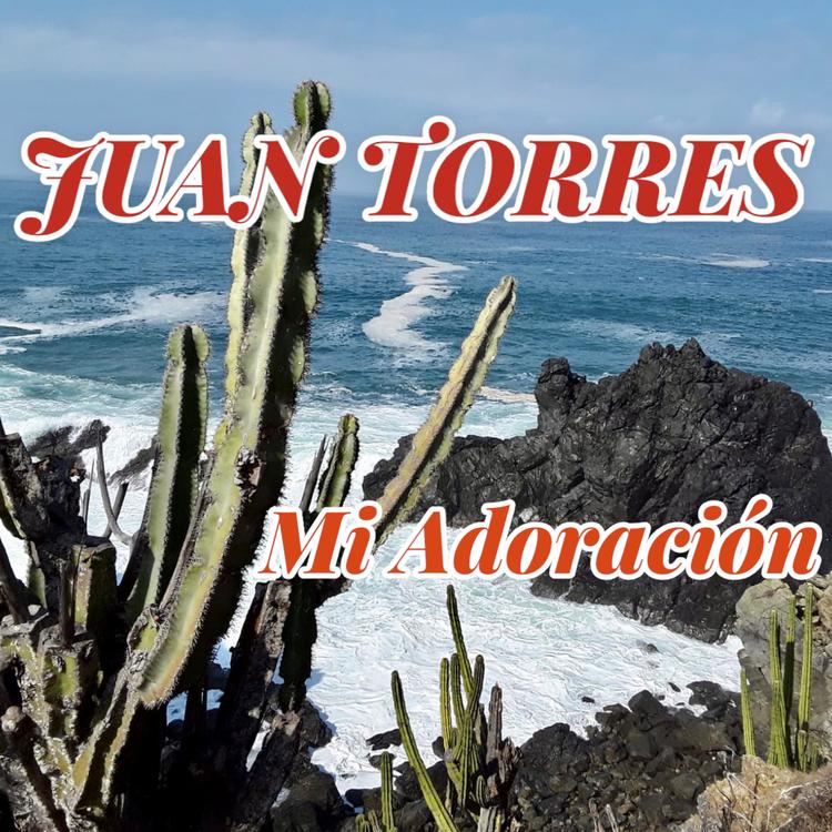 Juan Torres's avatar image