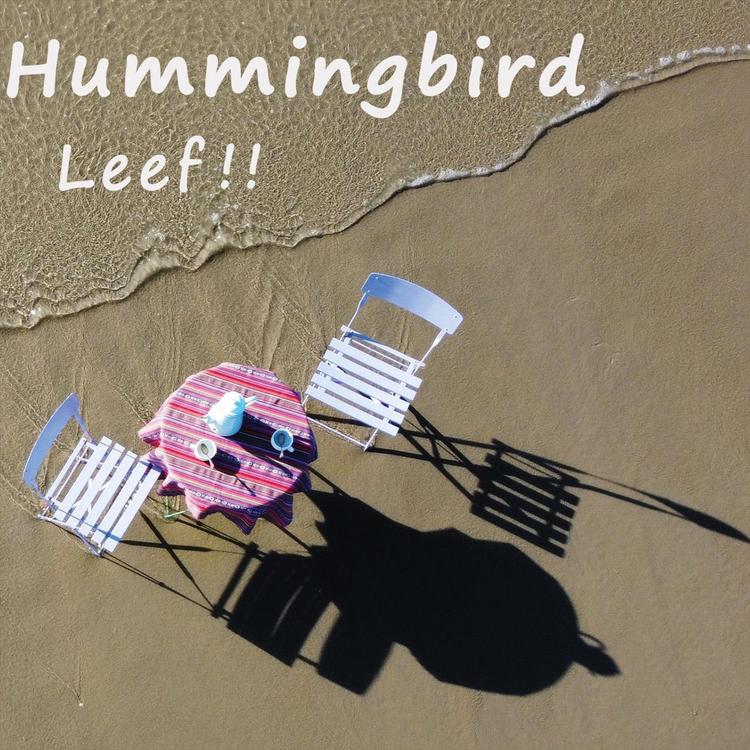 Hummingbird's avatar image