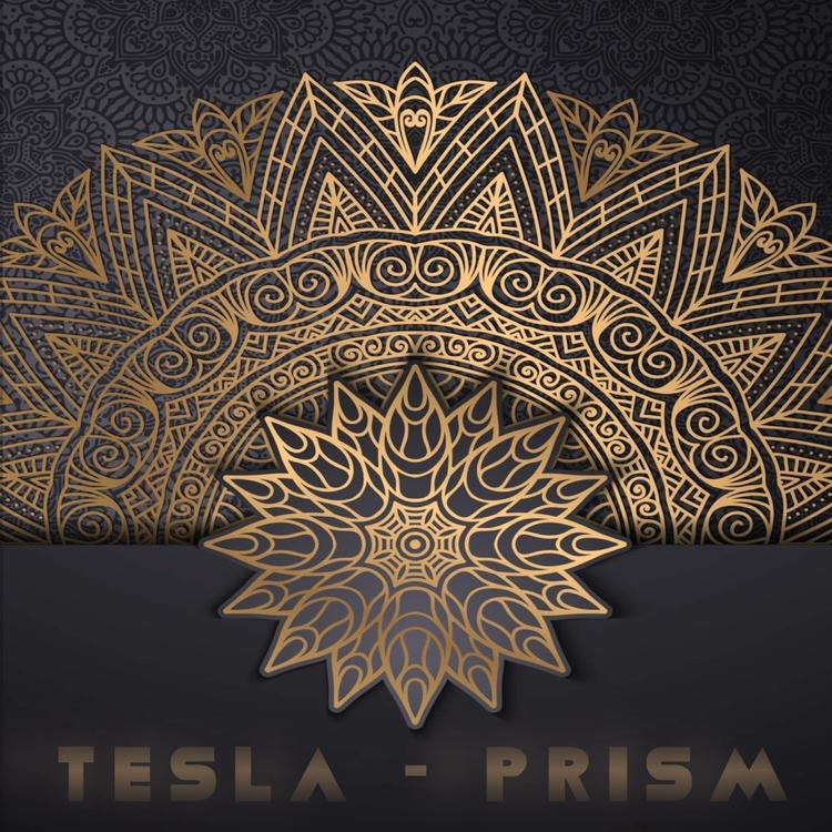 Tesla's avatar image