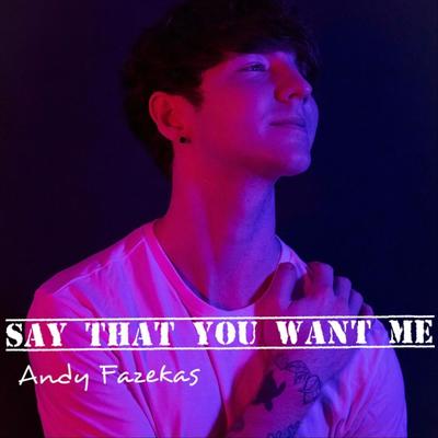 Andy Fazekas's cover